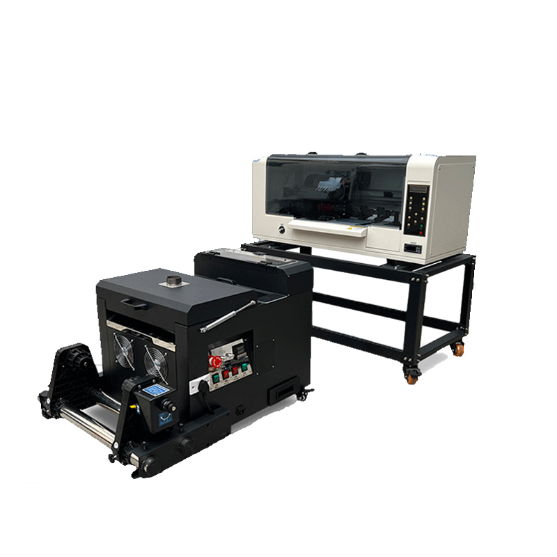 Commercial Dtf Printing - Stampante DTF a doppia testa XP600